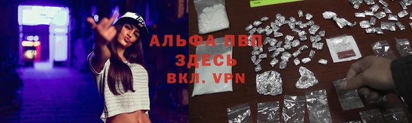 твердый Беломорск