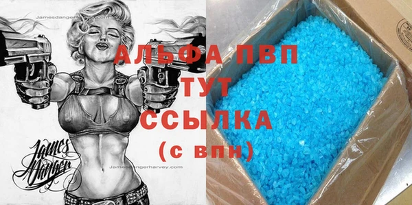 шишки Белоозёрский