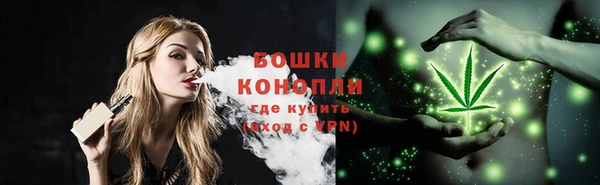 прущие крисы Богданович