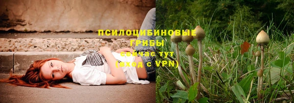 прущие крисы Богданович