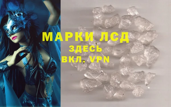 шишки Белоозёрский