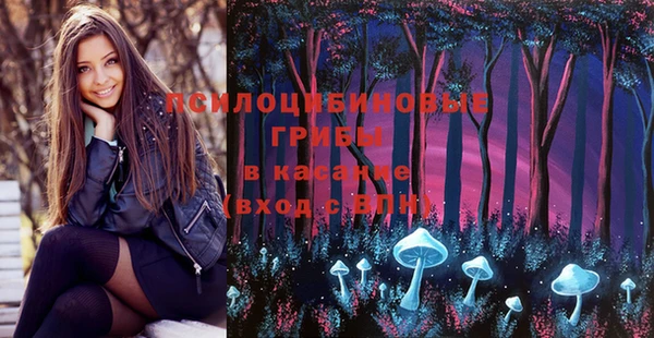 прущие крисы Богданович