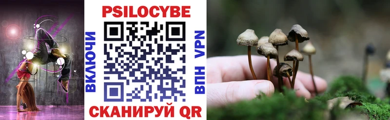 маркетплейс официальный сайт  где найти   Данилов  Псилоцибиновые грибы Psilocybe 